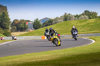 Lower Group Yellow Bikes